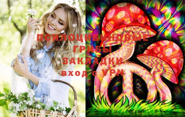 синтетический гашиш Каменск-Шахтинский