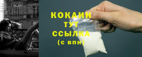 метадон Каменка