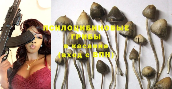 стафф Каменногорск