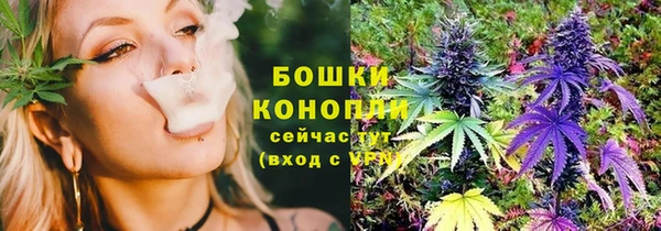 метадон Каменка