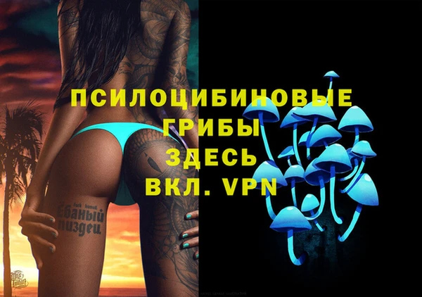 стафф Каменногорск